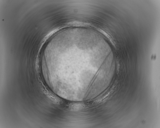 X0000096191074200802151458