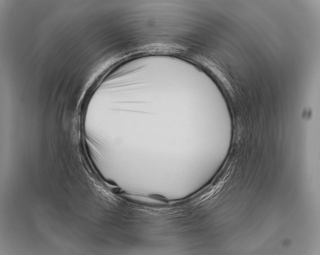 X0000096191075200802151458