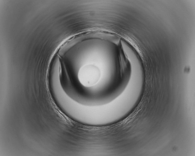 X0000096191076200802151458