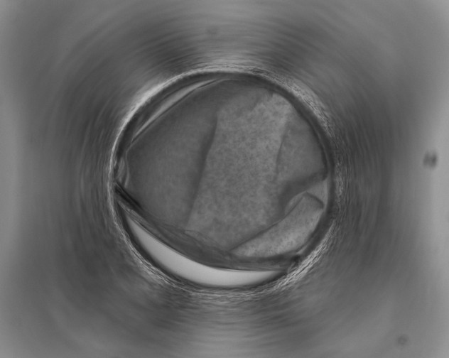 X0000096191077200802151458