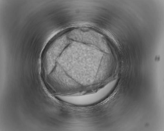 X0000096191079200802151458