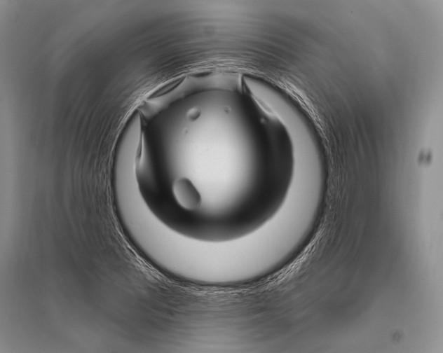 X0000096191081200802151458