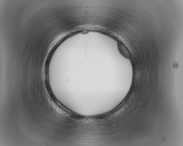 X0000096191082200802151458