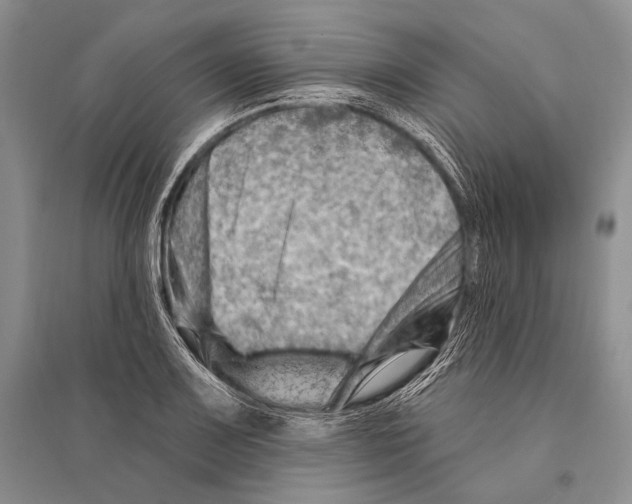 X0000096191083200802151458