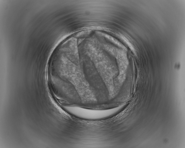 X0000096191084200802151458