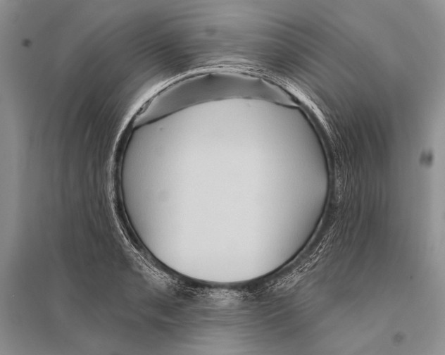 X0000096191085200802151458