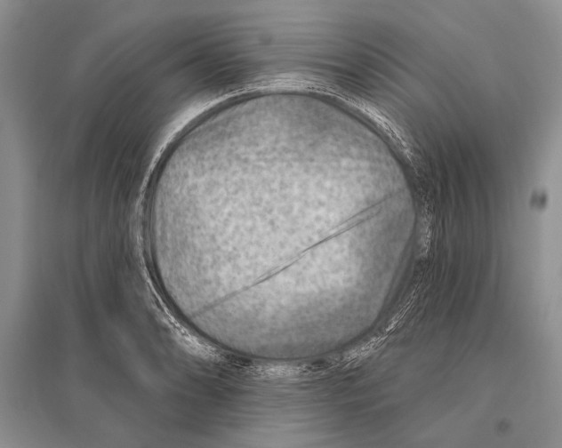 X0000096191086200802151458