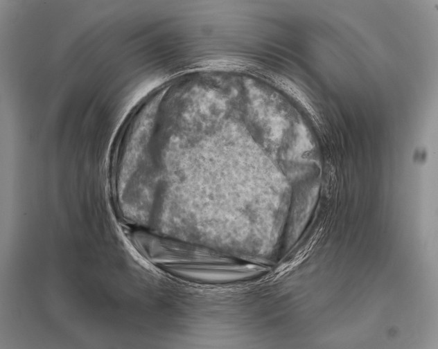 X0000096191087200802151458