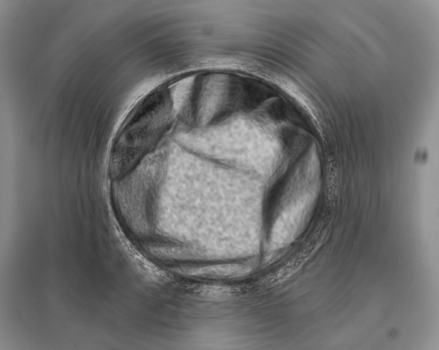 X0000096191088200802151458