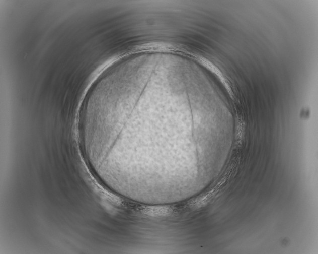 X0000096191090200802151458