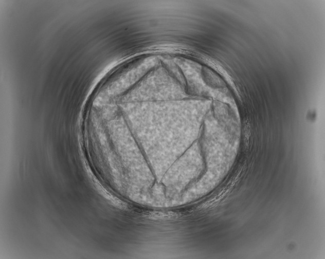 X0000096191091200802151458