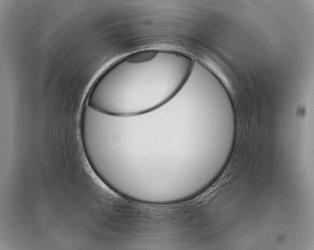 X0000096191092200802151458