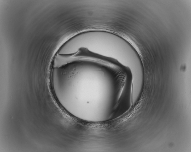 X0000096191093200802151458