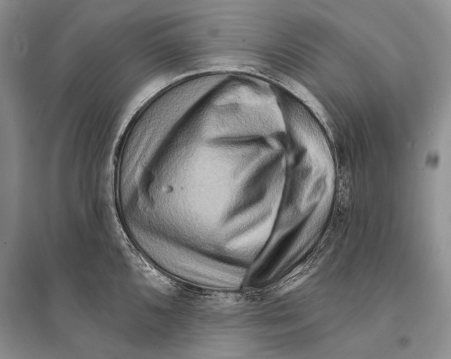 X0000096191096200802151458