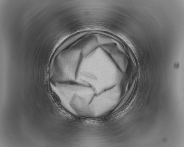 X0000096191097200802151458