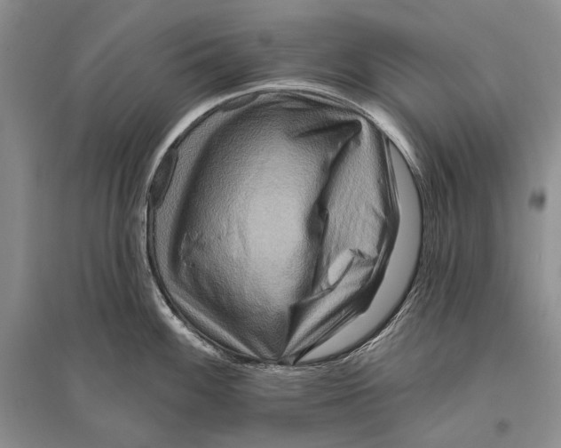 X0000096191100200802151458