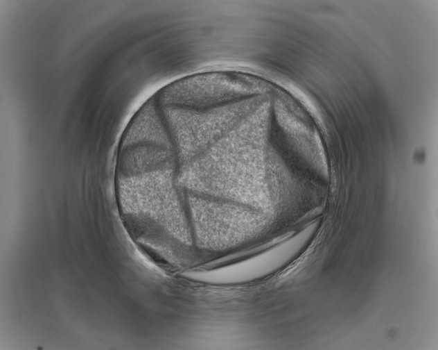 X0000096191102200802151458