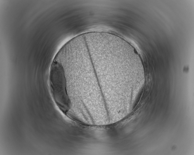 X0000096191103200802151458