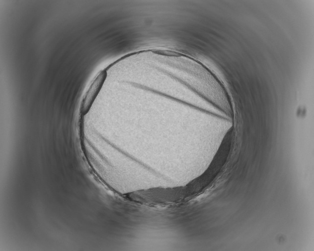 X0000096191104200802151458