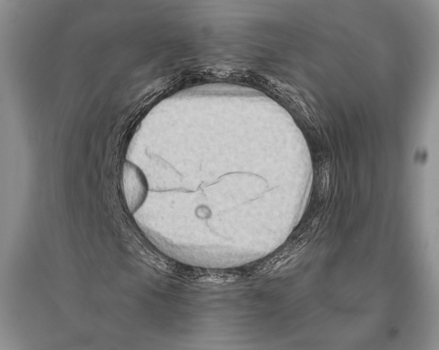 X0000096191105200802151457