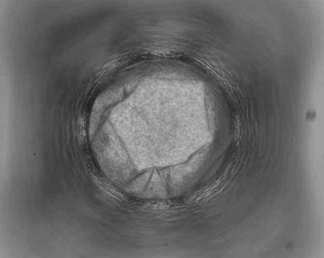 X0000096191106200802151457