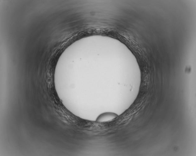 X0000096191109200802151457