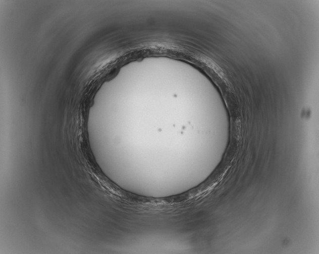 X0000096191111200802151457