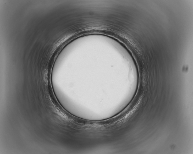 X0000096191113200802151457