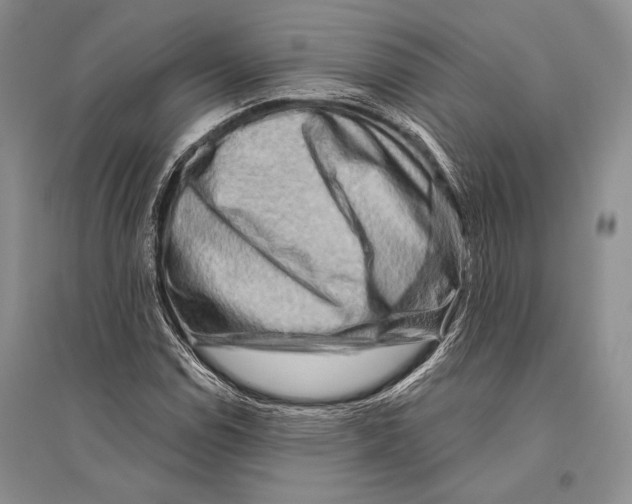 X0000096191114200802151457