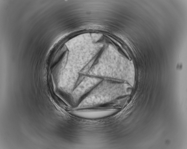 X0000096191115200802151457