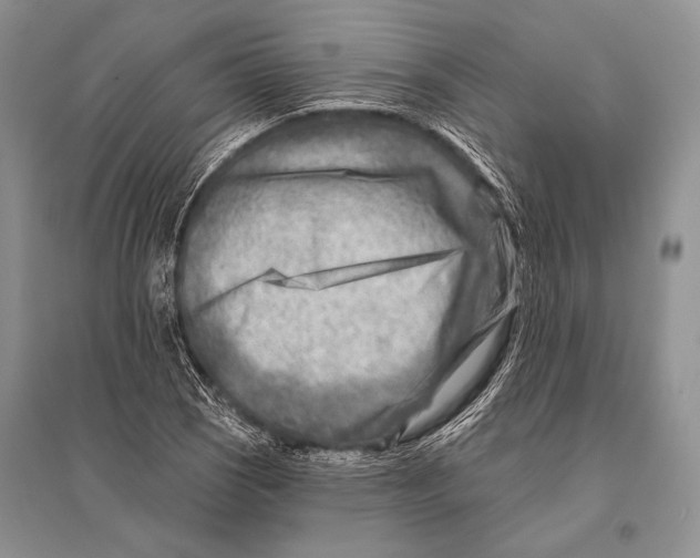 X0000096191121200802151457