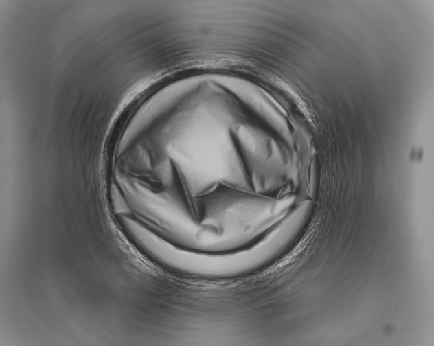 X0000096191122200802151457