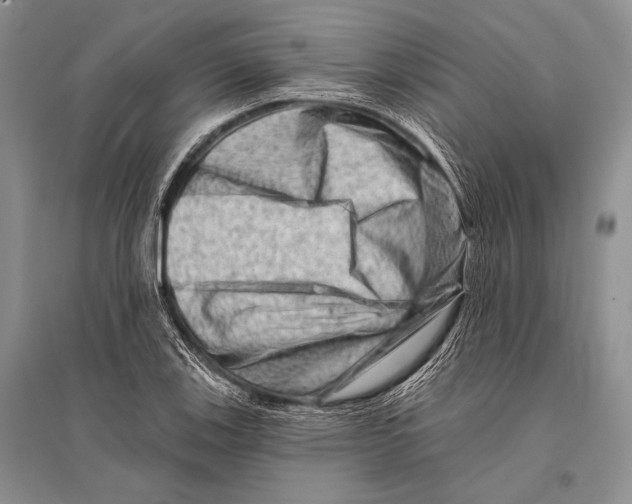 X0000096191123200802151457