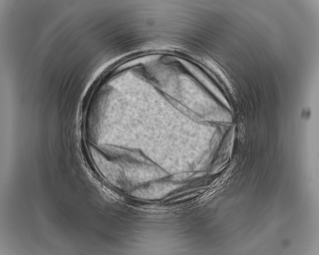 X0000096191124200802151457