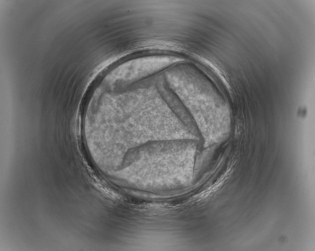 X0000096191125200802151457