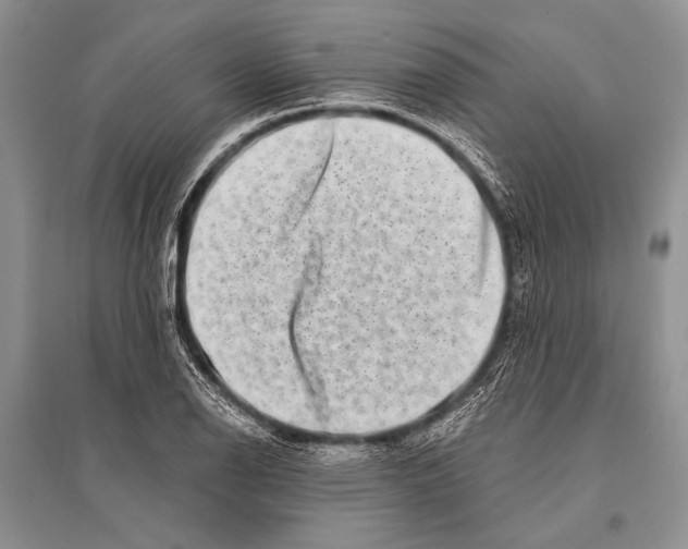 X0000096191126200802151457