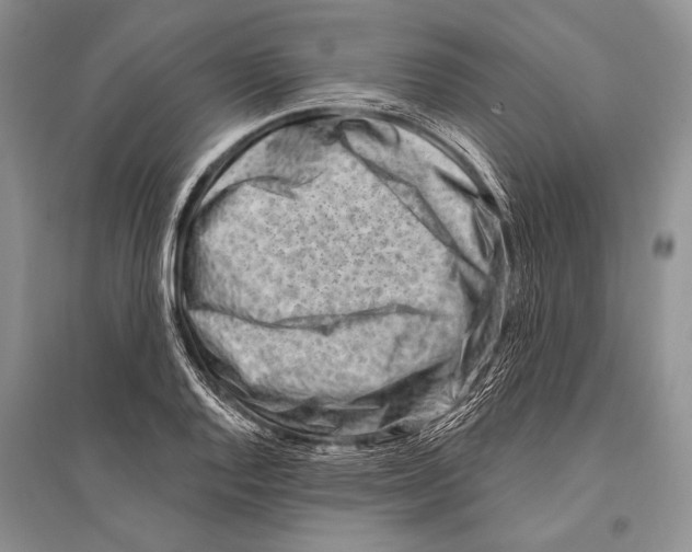 X0000096191128200802151457