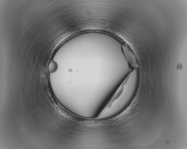 X0000096191129200802151457