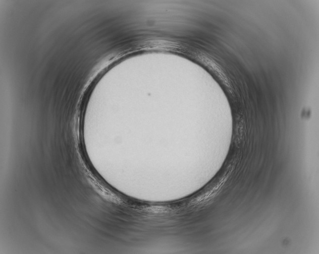 X0000096191130200802151457