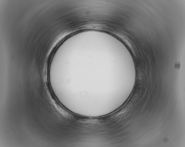 X0000096191131200802151457