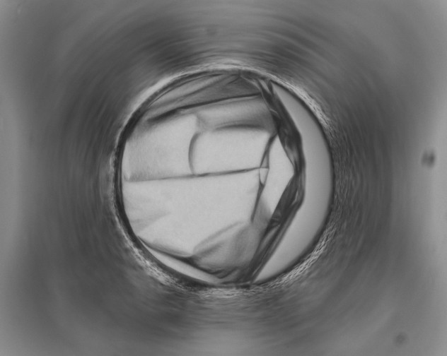 X0000096191134200802151457