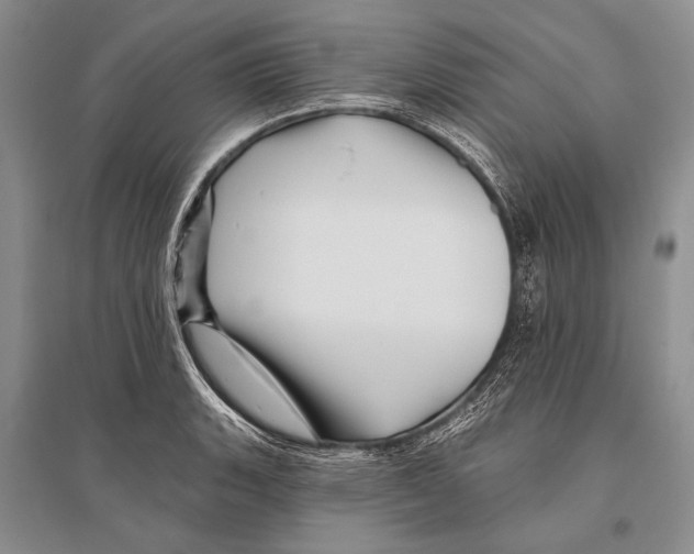 X0000096191135200802151457