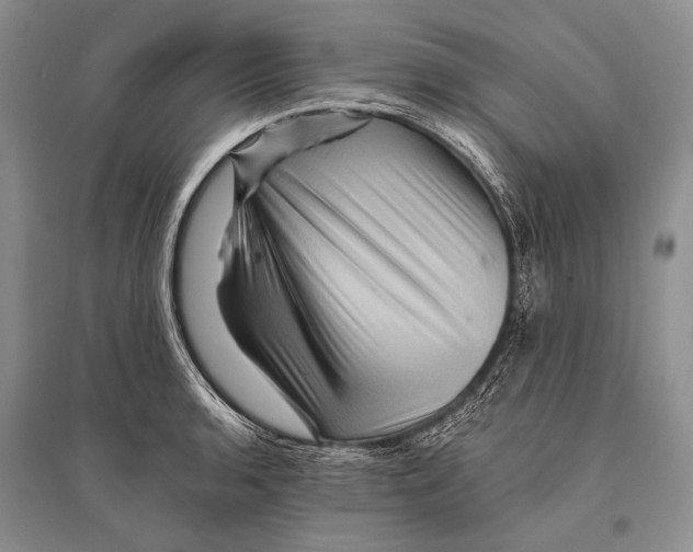 X0000096191136200802151457