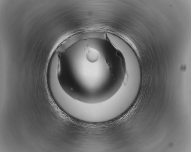 X0000096191138200802151457