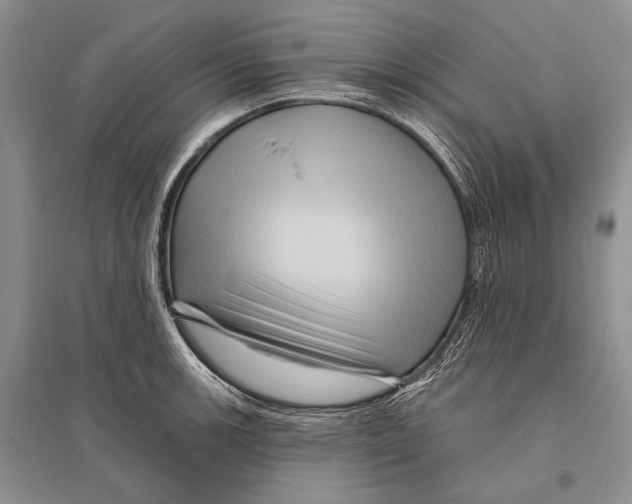 X0000096191139200802151457