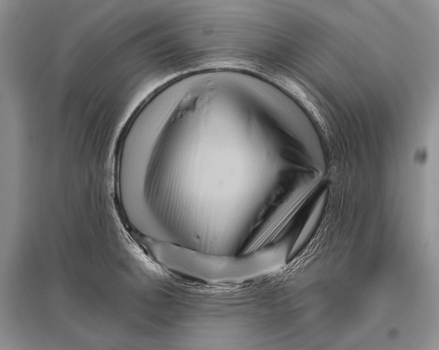 X0000096191140200802151457