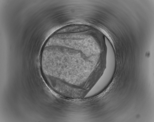 X0000096191141200802151457