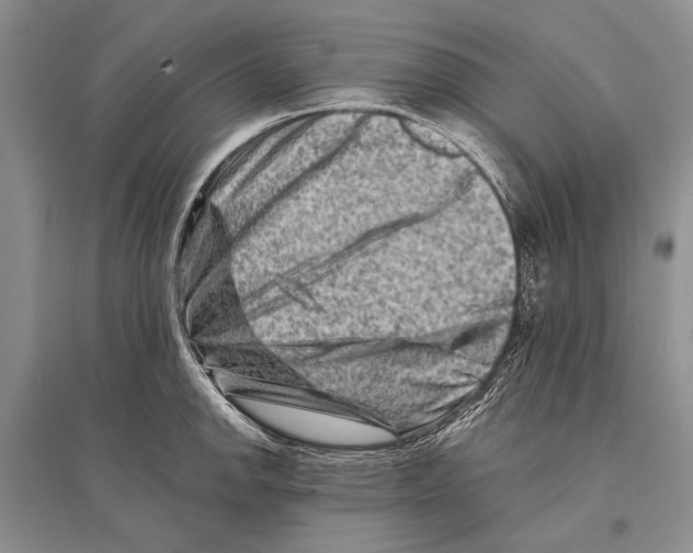 X0000096191142200802151457