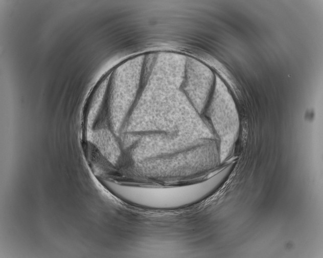 X0000096191143200802151457