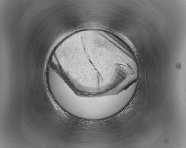 X0000096191144200802151457